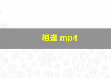 相逢 mp4